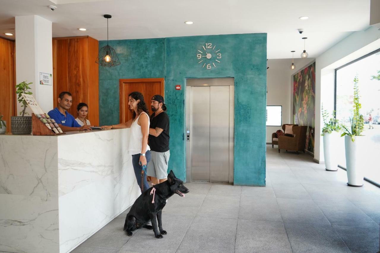 Hotel & Suites Arges - Centro Chetumal Kültér fotó